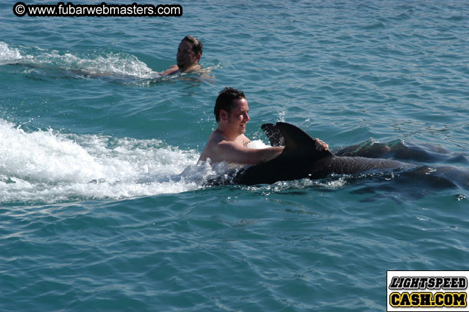 Encounter the Dolphins 2003