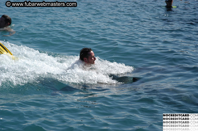 Encounter the Dolphins 2003