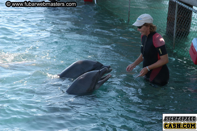 Encounter the Dolphins 2003