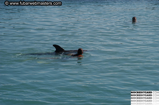 Encounter the Dolphins 2003