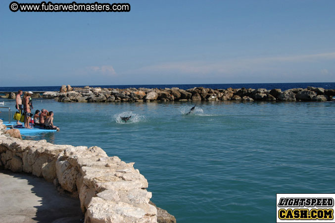 Encounter the Dolphins 2003