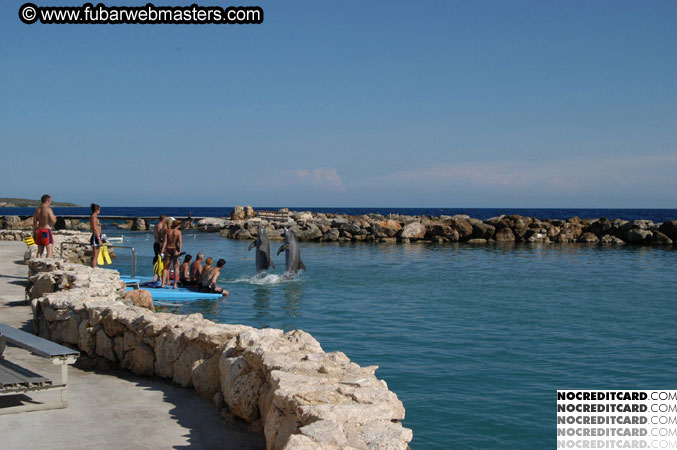 Encounter the Dolphins 2003