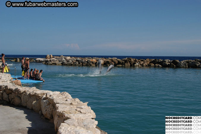 Encounter the Dolphins 2003