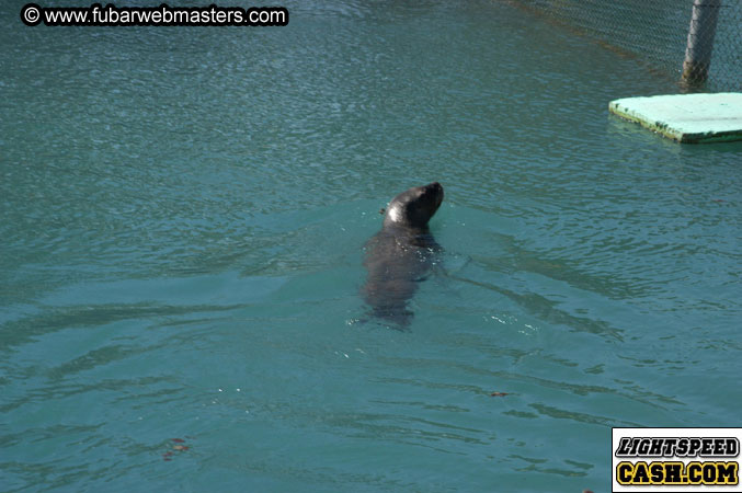 Encounter the Dolphins 2003