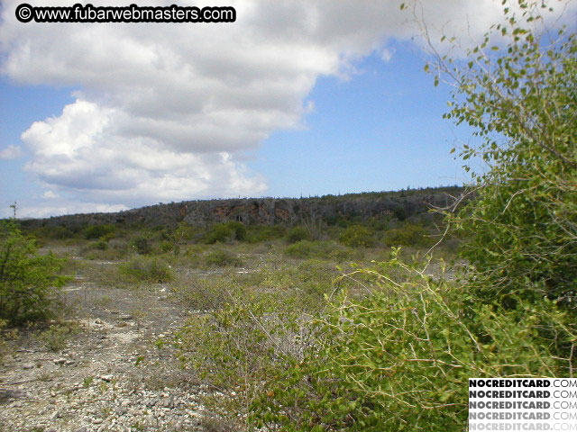 Bonaire Snorkeling 2003