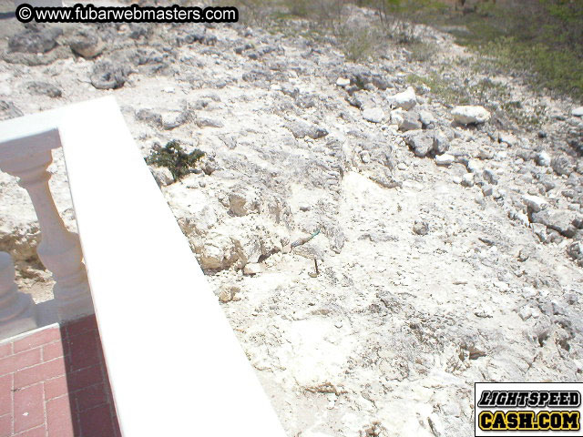 Bonaire Snorkeling 2003
