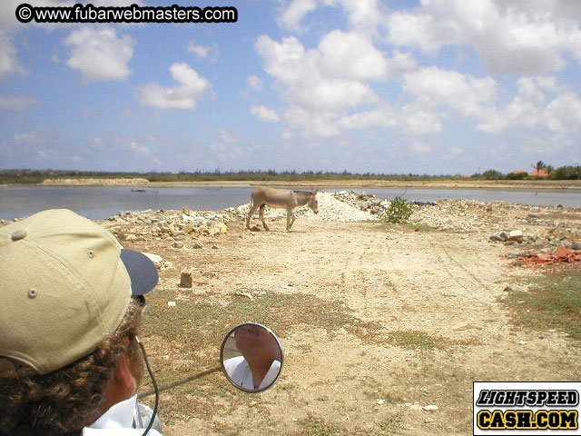 Bonaire Snorkeling 2003