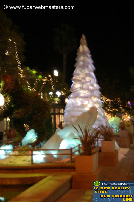 WIA (Women in Adult) Party 2003