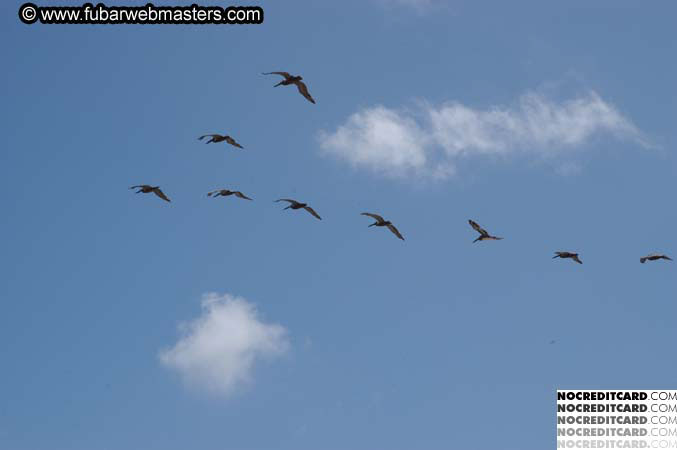 Lobster Lunch in Puerto Nuevo 2004