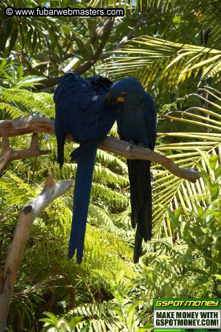 The Heavy Petting Zoo Tour 2004