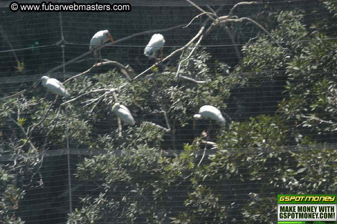 The Heavy Petting Zoo Tour 2004