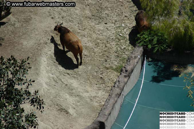 The Heavy Petting Zoo Tour 2004