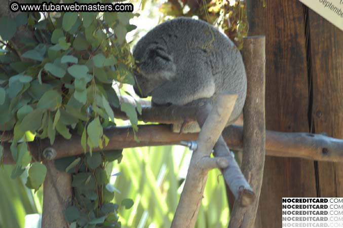 The Heavy Petting Zoo Tour 2004