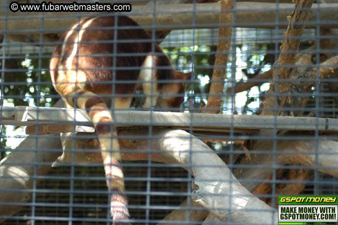 The Heavy Petting Zoo Tour 2004