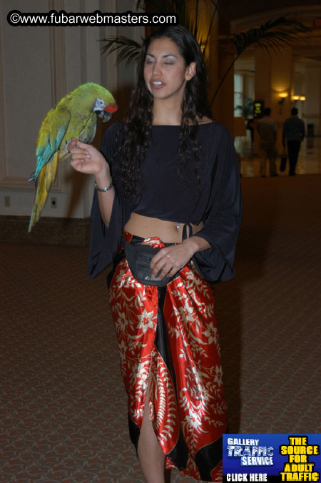 The Mandalay Bay Resort and Casino 2005