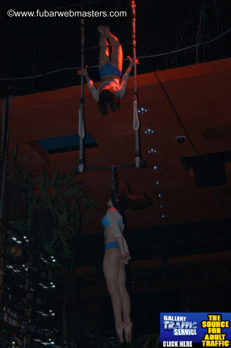 The Jungle Bash 2005