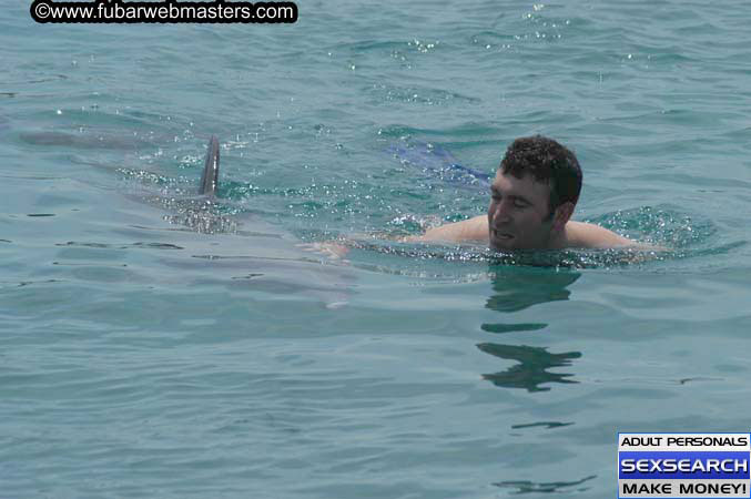 Local Billing Dolphin Encounter and Swim 2005