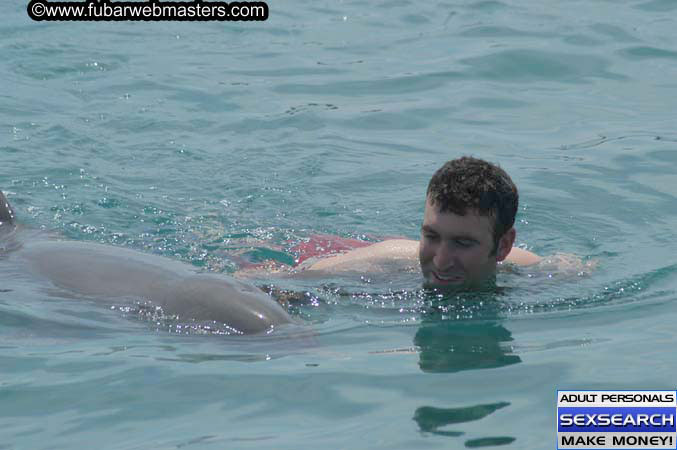 Local Billing Dolphin Encounter and Swim 2005