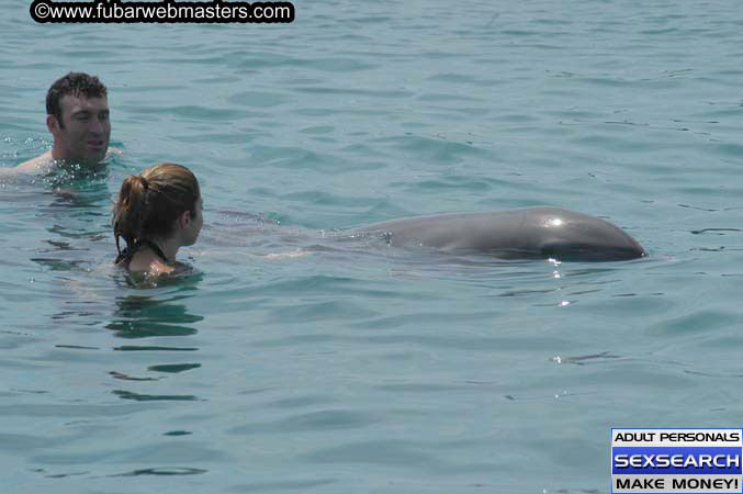 Local Billing Dolphin Encounter and Swim 2005