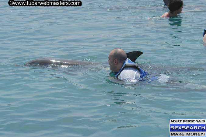 Local Billing Dolphin Encounter and Swim 2005