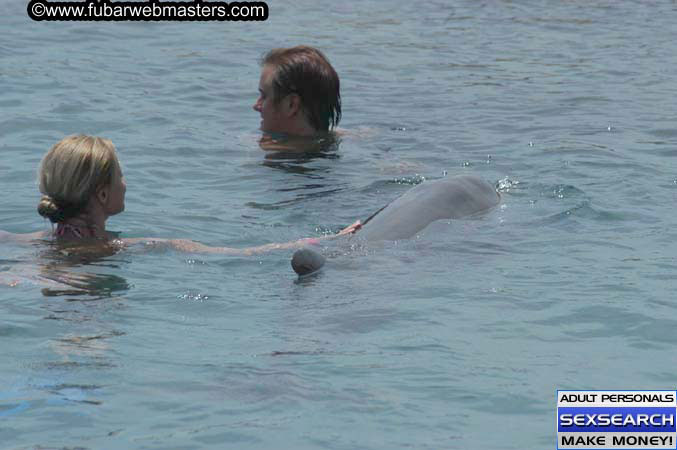 Local Billing Dolphin Encounter and Swim 2005