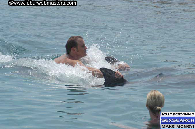 Local Billing Dolphin Encounter and Swim 2005