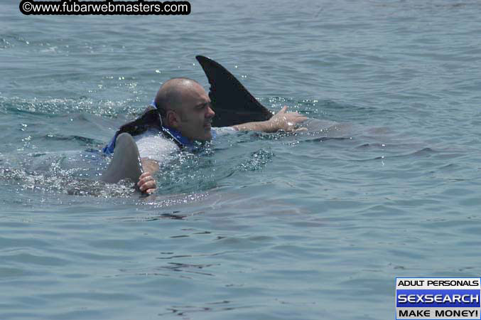 Local Billing Dolphin Encounter and Swim 2005