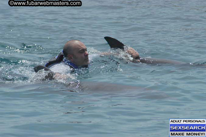 Local Billing Dolphin Encounter and Swim 2005