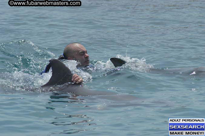 Local Billing Dolphin Encounter and Swim 2005