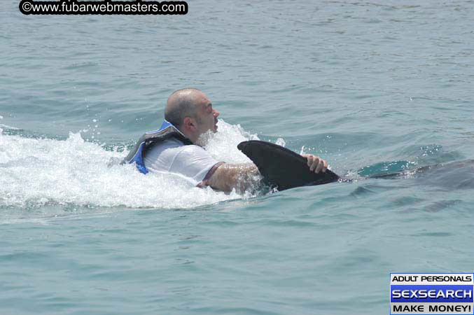 Local Billing Dolphin Encounter and Swim 2005