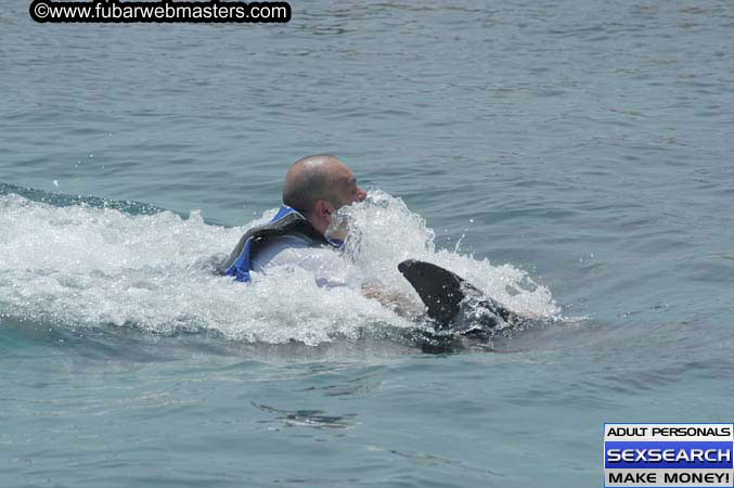 Local Billing Dolphin Encounter and Swim 2005