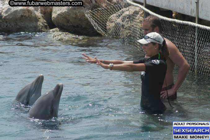 Local Billing Dolphin Encounter and Swim 2005