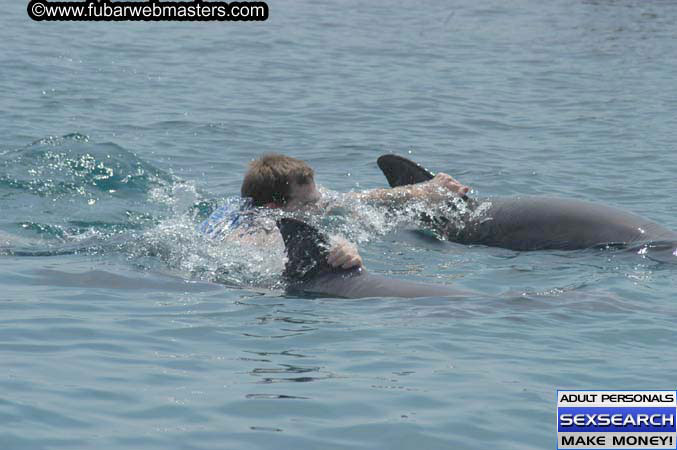 Local Billing Dolphin Encounter and Swim 2005