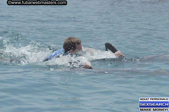 Local Billing Dolphin Encounter and Swim 2005