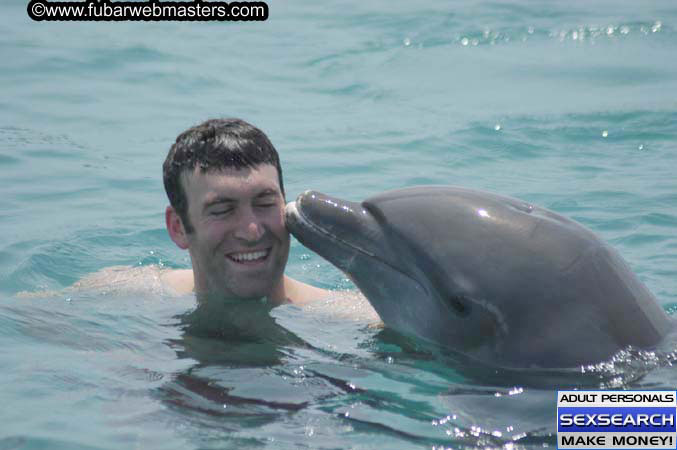 Local Billing Dolphin Encounter and Swim 2005