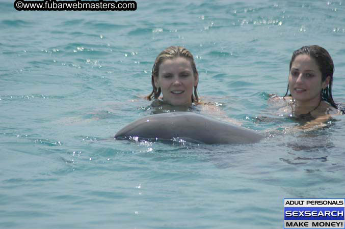 Local Billing Dolphin Encounter and Swim 2005