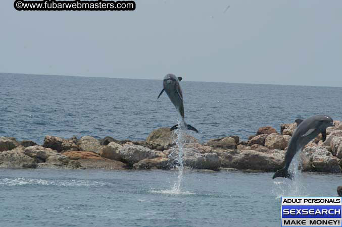 Local Billing Dolphin Encounter and Swim 2005