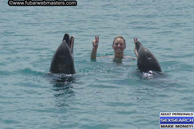 Local Billing Dolphin Encounter and Swim 2005