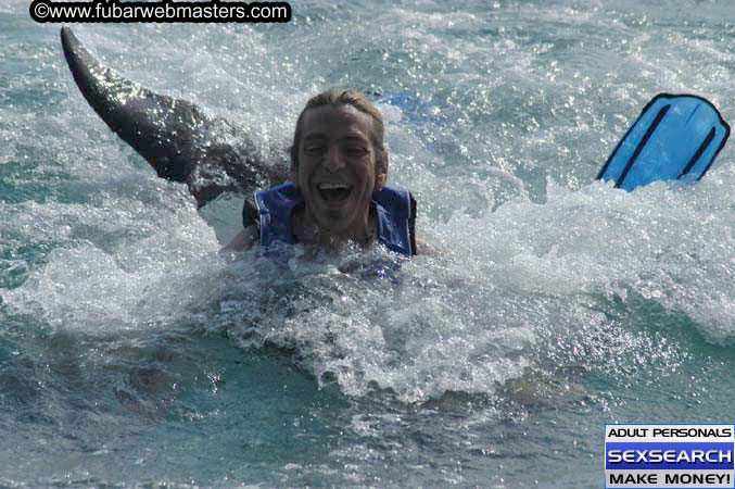 Local Billing Dolphin Encounter and Swim 2005