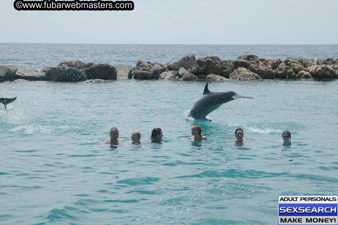 Local Billing Dolphin Encounter and Swim 2005