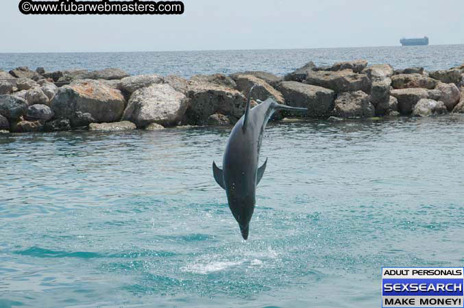 Local Billing Dolphin Encounter and Swim 2005