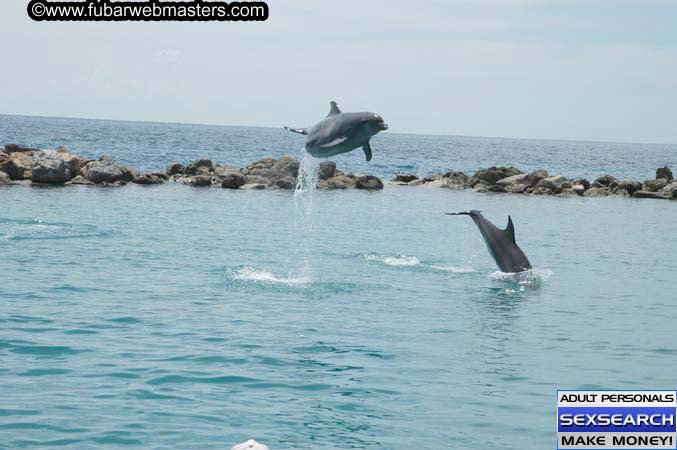 Local Billing Dolphin Encounter and Swim 2005