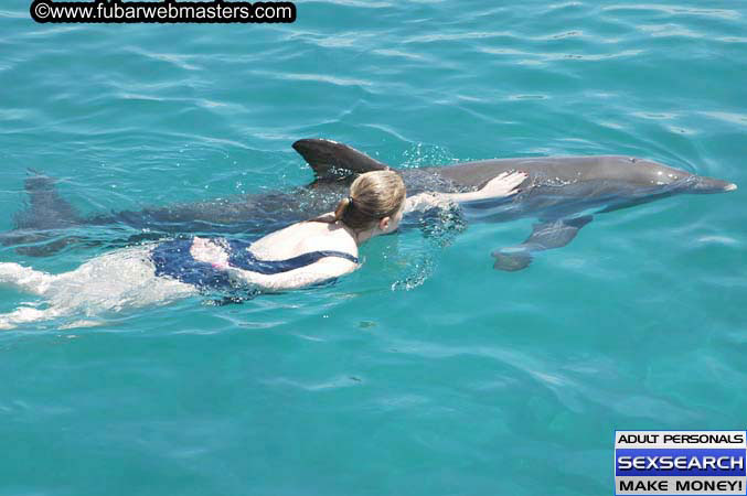 Local Billing Dolphin Encounter and Swim 2005