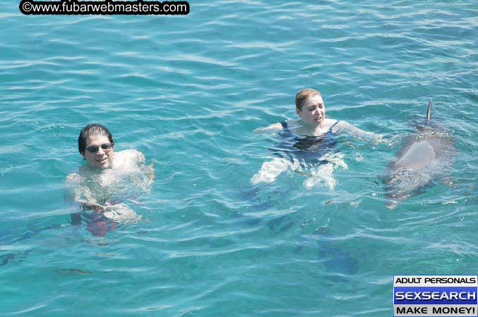 Local Billing Dolphin Encounter and Swim 2005