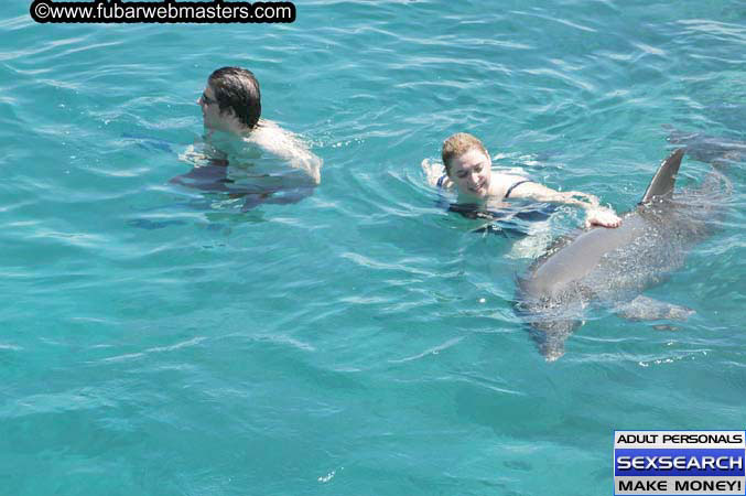Local Billing Dolphin Encounter and Swim 2005