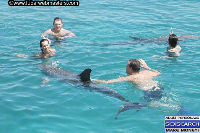 Local Billing Dolphin Encounter and Swim 2005