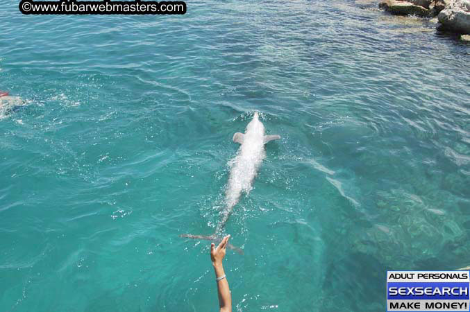 Local Billing Dolphin Encounter and Swim 2005