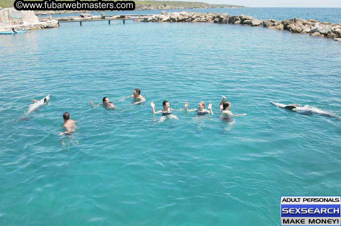 Local Billing Dolphin Encounter and Swim 2005