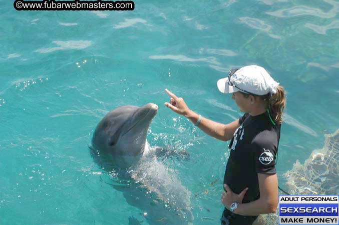 Local Billing Dolphin Encounter and Swim 2005