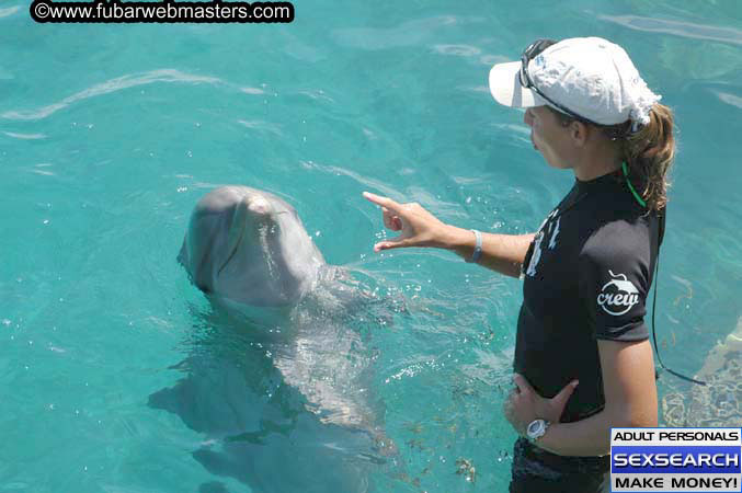 Local Billing Dolphin Encounter and Swim 2005